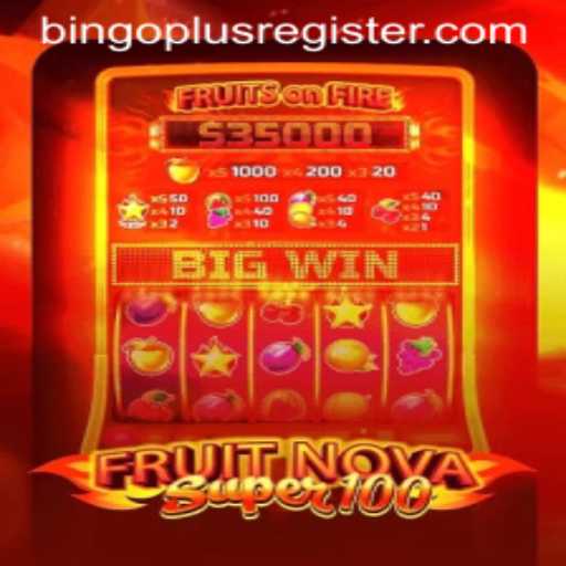 Exploring the Exciting World of FruitNovaSuper100 and BINGOPLUS
